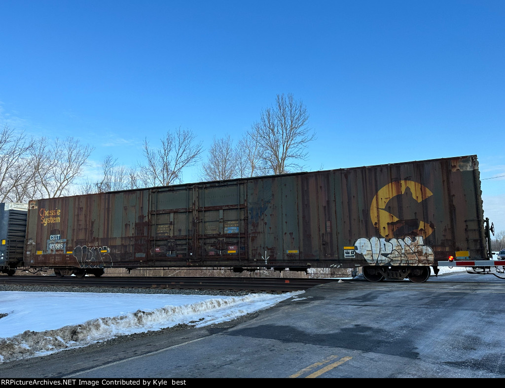 Giant Chessie boxcar